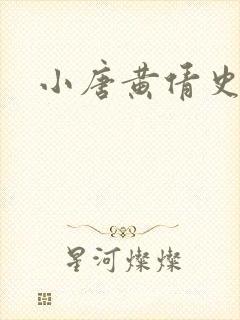 小唐黄倩史