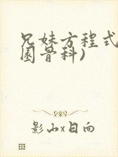兄妹方程式(校园骨科)封面