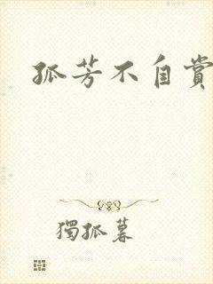 孤芳不自赏小说
