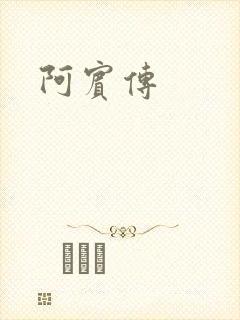 阿宾传封面