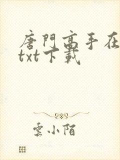 唐门高手在异世txt下载