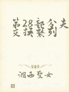 第28部分夫妇交换系列