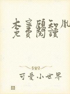 木宁顾知胤小说免费阅读