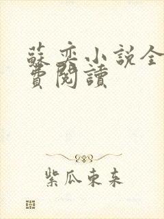 苏奕小说全文免费阅读