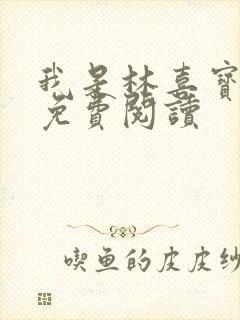 我是林喜宝小说免费阅读
