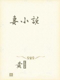 妻小说