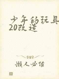少年的玩具1一20改造