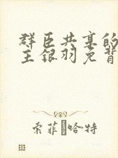 群臣共享的小公主银羽免背刺