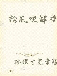 松风吹解带封面