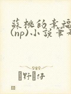 苏桃的幸福生活(np)小说笔趣阁沐沐