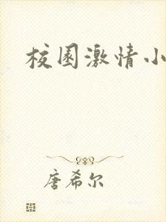 校园激情小说封面
