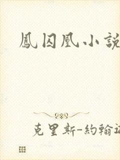 凤囚凰小说封面