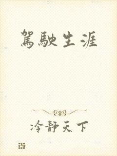 驾驶生涯