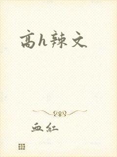 高h辣文封面