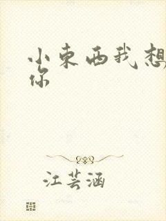 小东西我想弄坏你