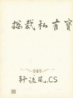 总裁私有宝贝
