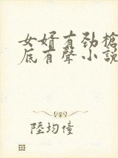 女婿有劲枪枪到底有声小说封面