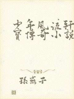 少年风流轩辕大宝传奇小说