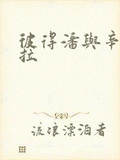 彼得潘与辛德瑞拉封面