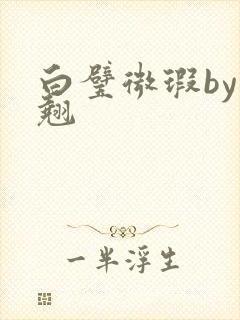 白璧微瑕by连翘