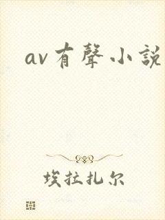 av有声小说