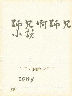 师兄啊师兄原著小说封面
