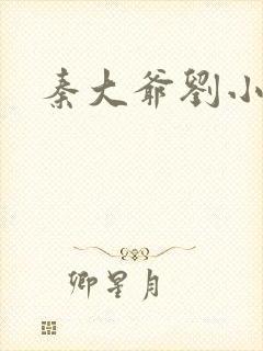 秦大爷刘小静封面