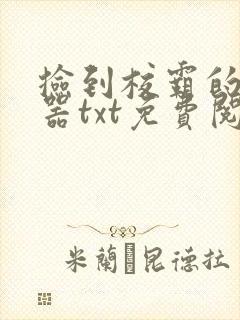 捡到校霸的遥控器txt免费阅读