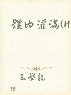 体内灌满(H)封面