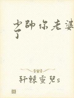少帅你老婆又跑了