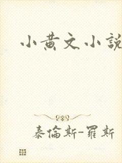 小黄文小说封面