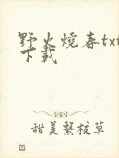 野火烧春txt下载