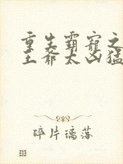 重生霸宠之摄政王爷太凶猛