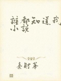 谁都知道我爱你小说