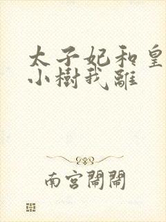 太子妃和皇上在小树我离封面