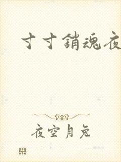 寸寸销魂夜春光