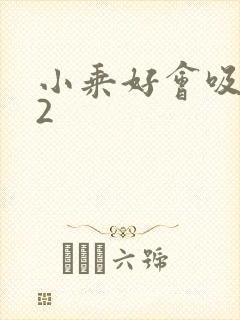 小乘好会吸1V2封面