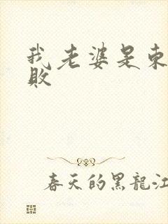 我老婆是东方不败