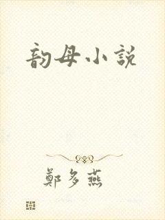 韵母小说