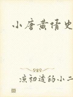 小唐黄倩史封面