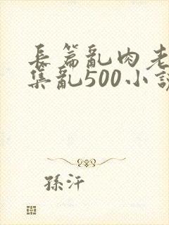 长篇乱肉老师合集乱500小说封面