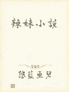 辣妹小说