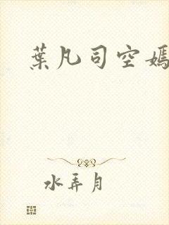 叶凡司空嫣然