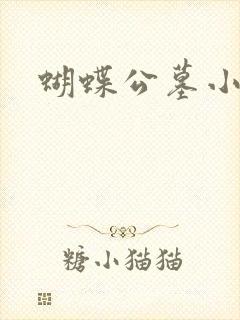蝴蝶公墓小说