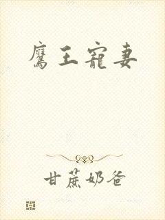 鹰王宠妻封面