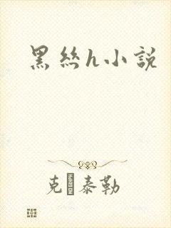 黑丝h小说