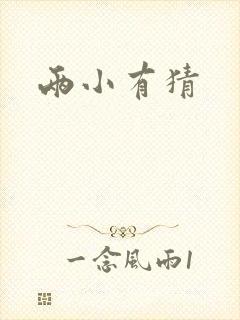 两小有猜封面