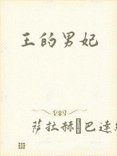 王的男妃