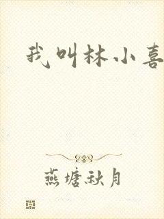 我叫林小喜17