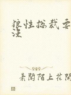 狼性总裁要够了没